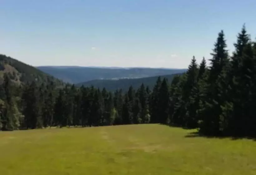 Hotelli Haus Linde Frauenwald Am Rennsteig