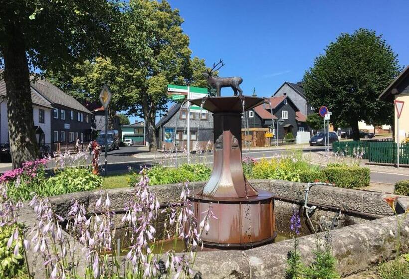 Отель Haus Linde Frauenwald Am Rennsteig