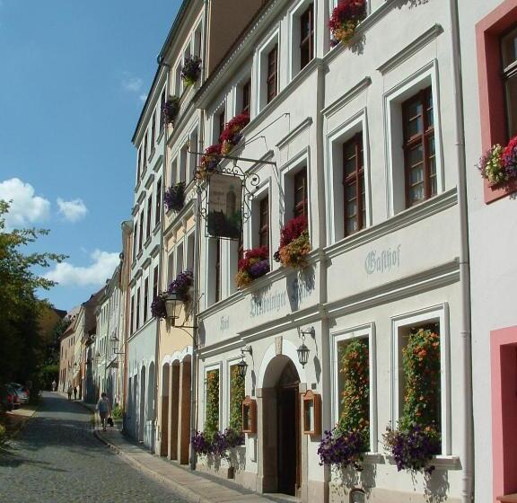 Отель Und Gasthof Dreibeiniger Hund