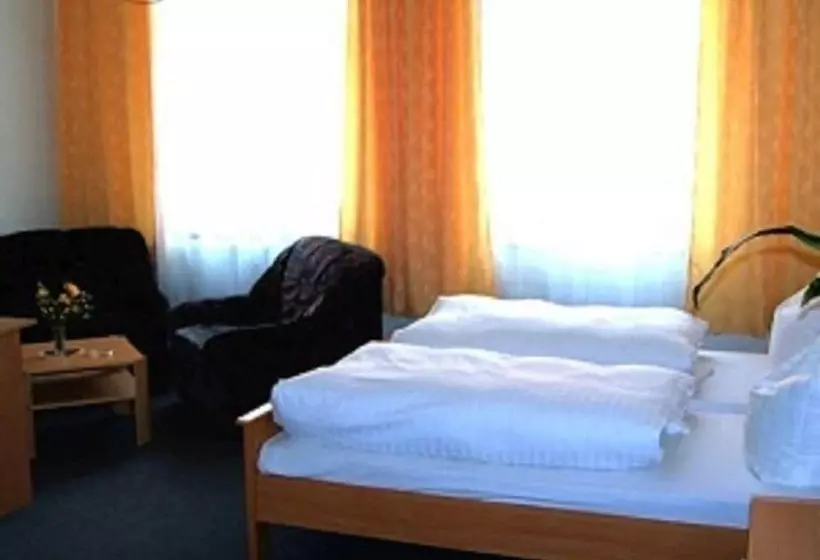 Hotelli Zum Goldenen Löwen