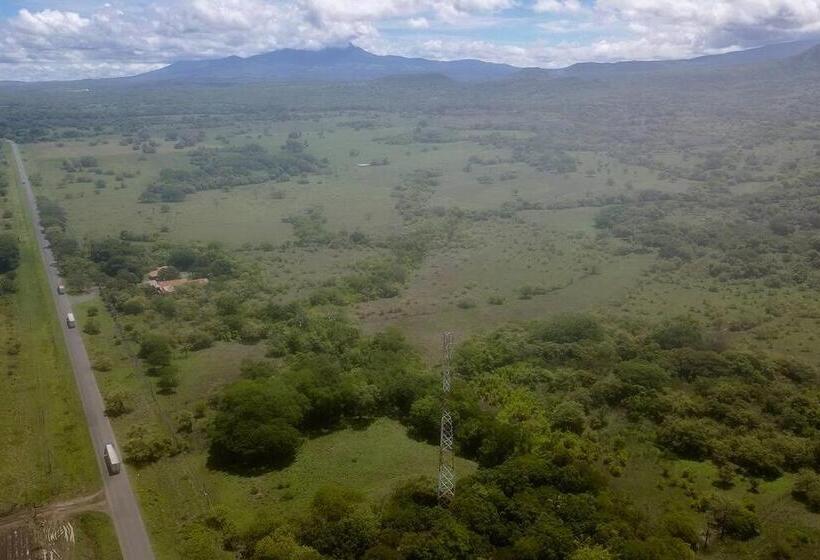 El Cocobolo Food&rest Room 1 Bed And Breakfast Wifi Ac Pkg Gratis