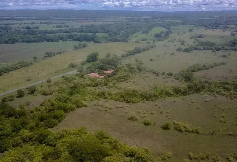 El Cocobolo Food&rest Room 1 Bed And Breakfast Wifi Ac Pkg Gratis