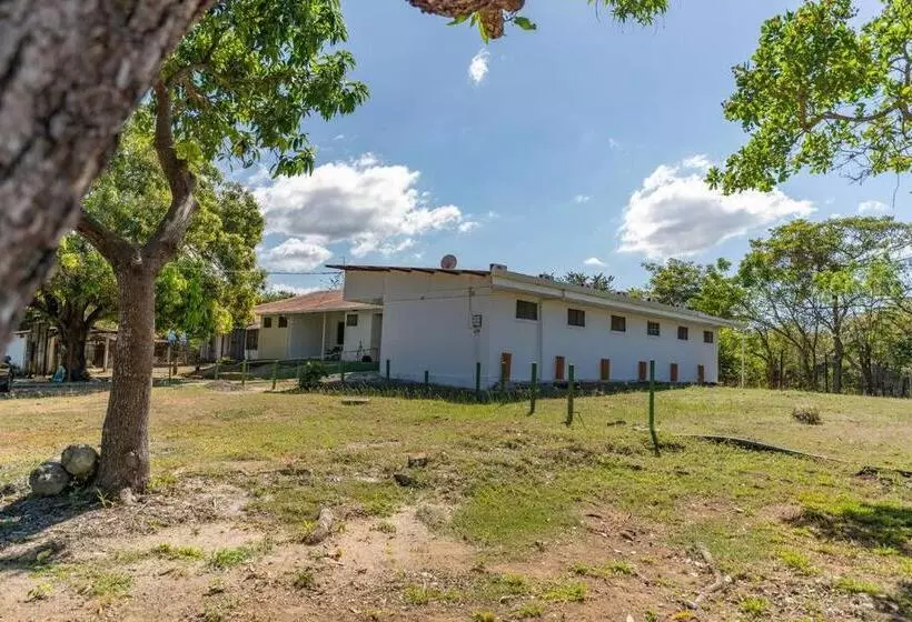 El Cocobolo Food&rest Room 1 Bed And Breakfast Wifi Ac Pkg Gratis