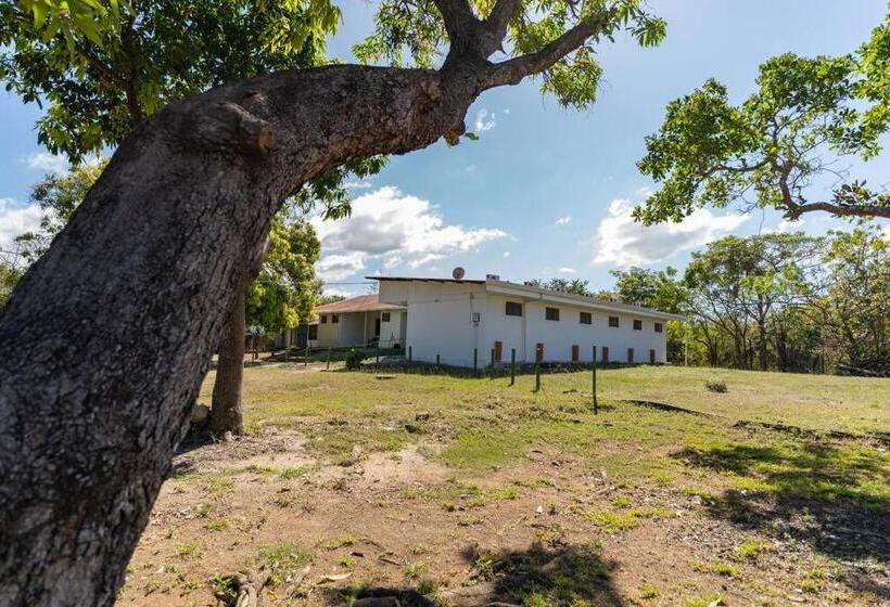 El Cocobolo Food&rest Room 1 Bed And Breakfast Wifi Ac Pkg Gratis