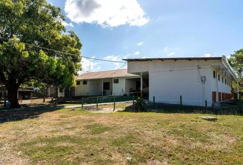 El Cocobolo Food&rest Room 1 Bed And Breakfast Wifi Ac Pkg Gratis