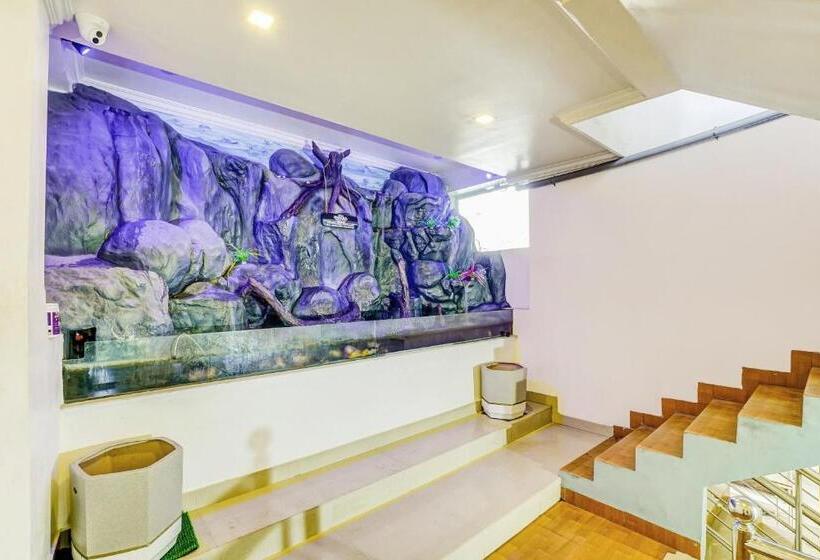 בית מלון כפרי Collection O Royal Tourist Home