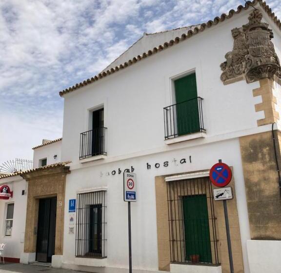 بنسيون Hostal Baobab