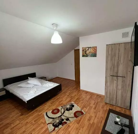 ペンション Casa Nib Calimanesti