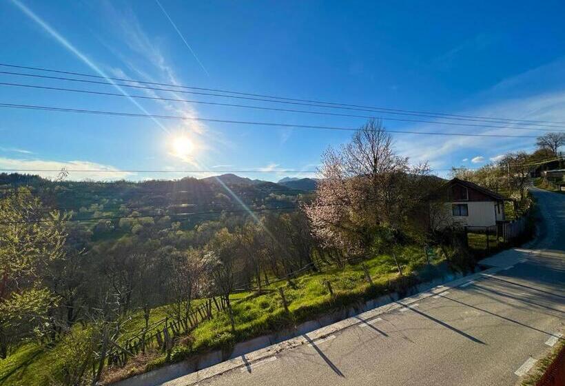 膳宿费 Casa Nib Calimanesti