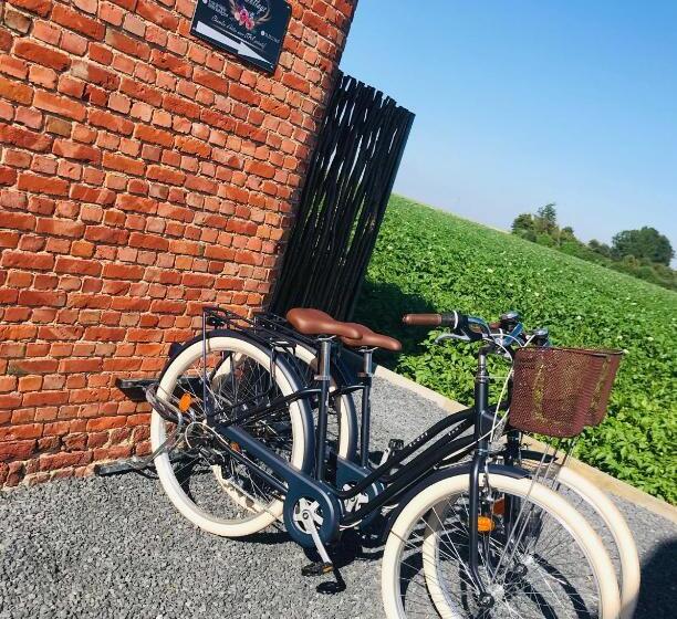 Bed and Breakfast Chambre D Hôtes Le Cottage