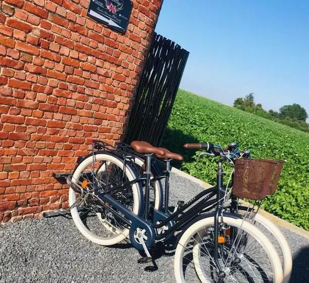 Aamiaismajoitus (B&B) Chambre D Hôtes Le Cottage