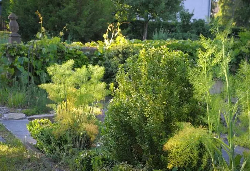 Retkeilymaja Gasthaus Herrig