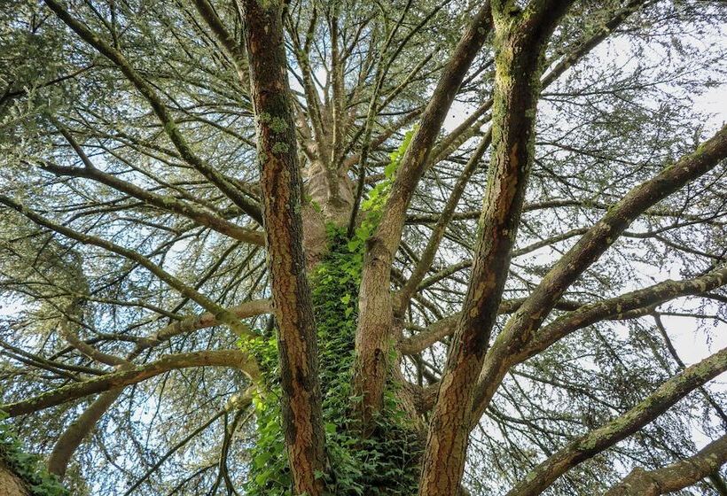 Domaine De Dolomieu Hotel & Spa   Bw Premier Collection