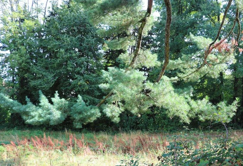 Domaine De Dolomieu Hotel & Spa   Bw Premier Collection