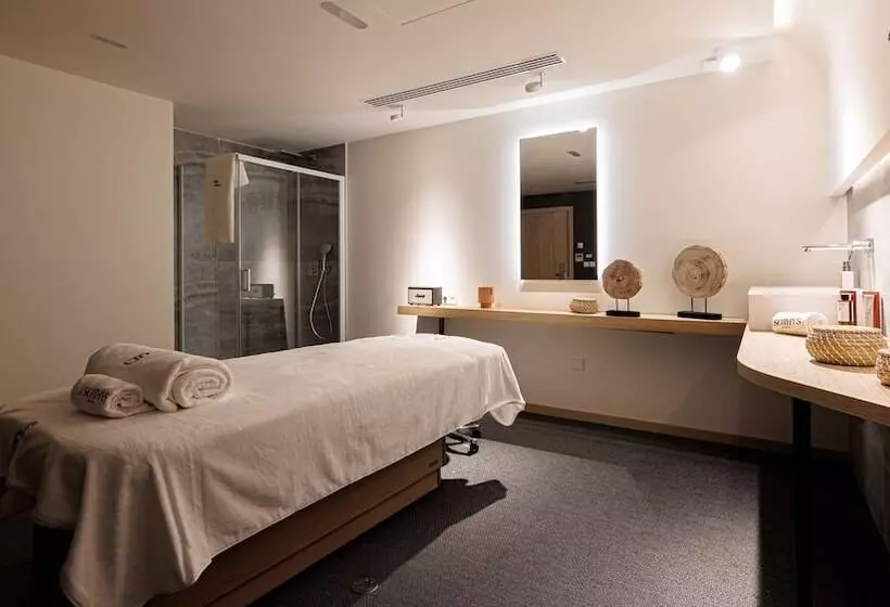 Domaine De Dolomieu Hotel & Spa   Bw Premier Collection