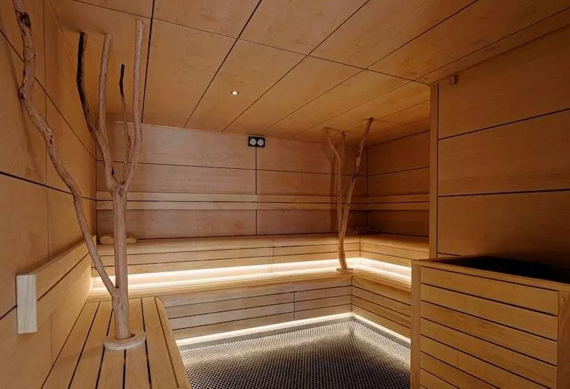 Domaine De Dolomieu Hotel & Spa   Bw Premier Collection