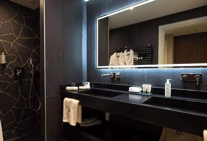 Domaine De Dolomieu Hotel & Spa   Bw Premier Collection