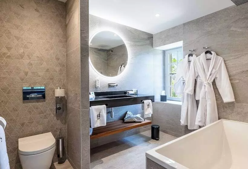 Domaine De Dolomieu Hotel & Spa   Bw Premier Collection