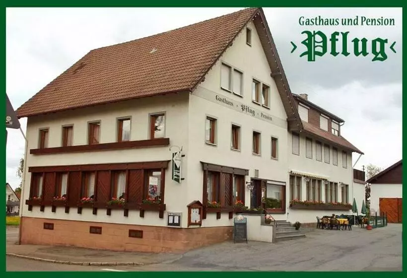 Hotelli Gasthaus Pflug