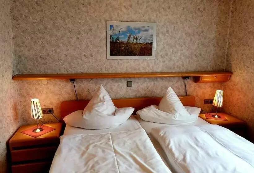 Hotelli Gasthaus Pflug