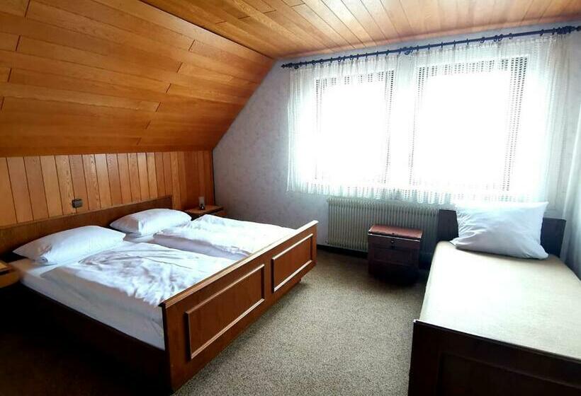 Otel Gasthaus Pflug