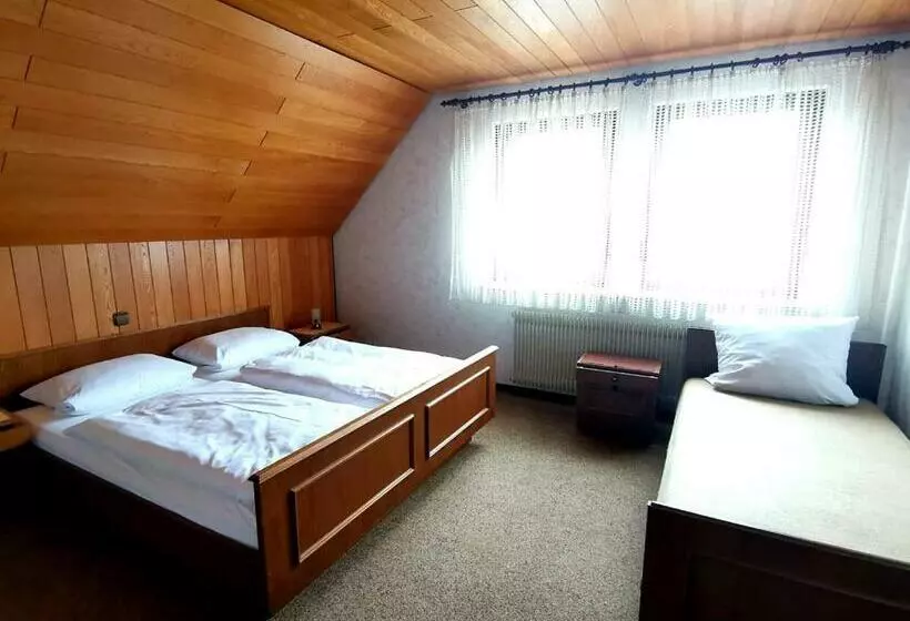 Hotelli Gasthaus Pflug