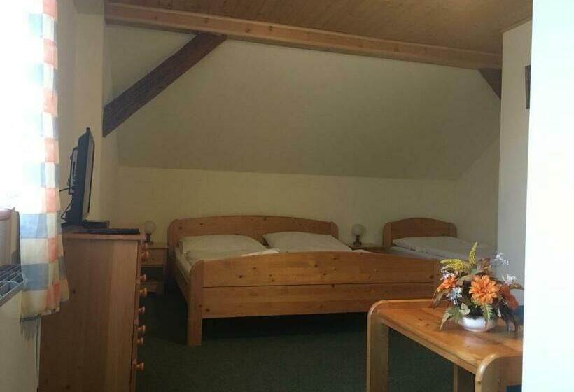 ペンション Penzion U Příhodů