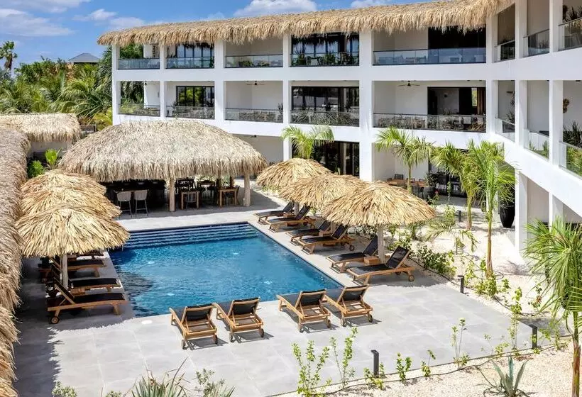 استراحتگاه Belnem House Bonaire
