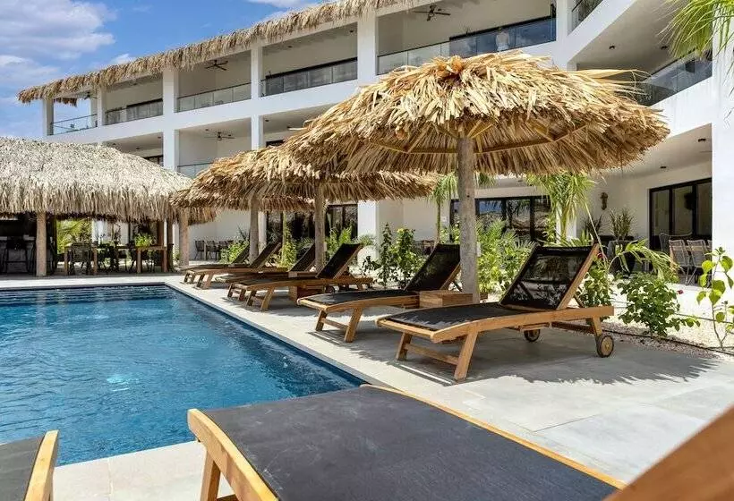 استراحتگاه Belnem House Bonaire