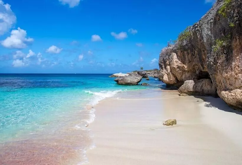 استراحتگاه Belnem House Bonaire