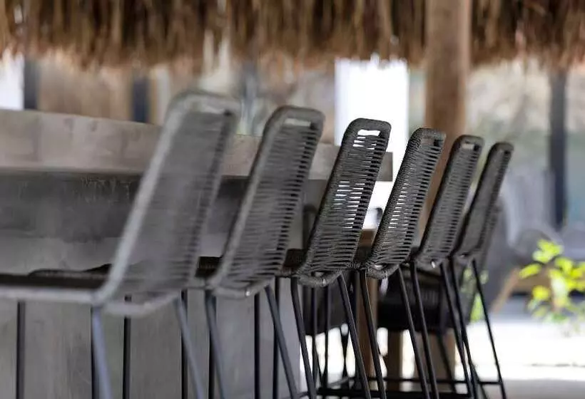 استراحتگاه Belnem House Bonaire