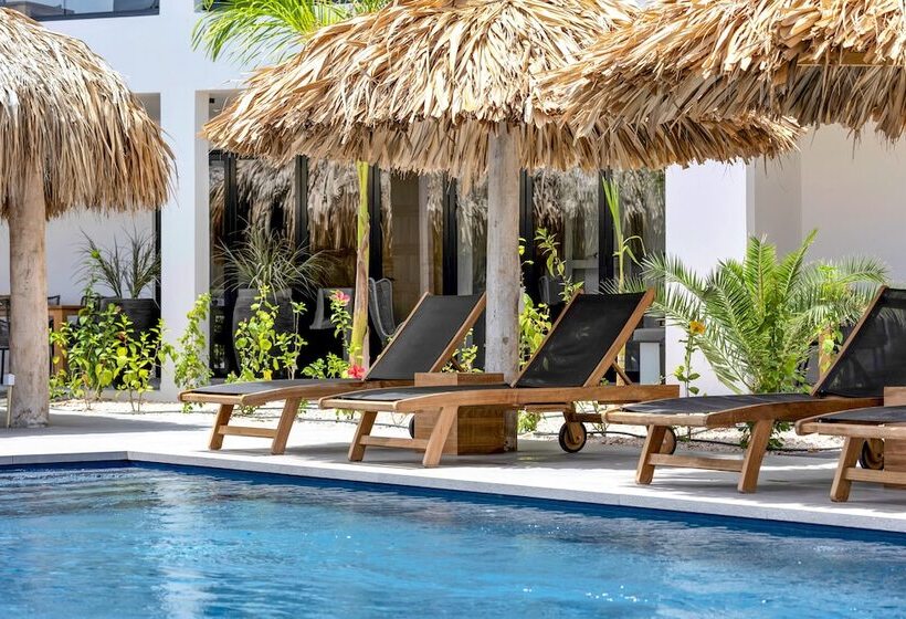 استراحتگاه Belnem House Bonaire