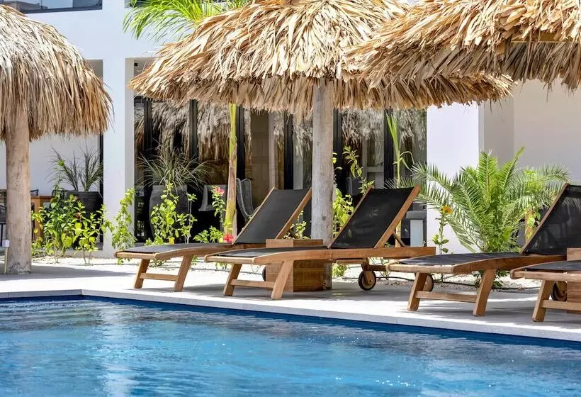 استراحتگاه Belnem House Bonaire