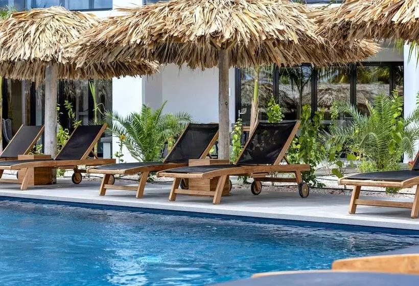 استراحتگاه Belnem House Bonaire