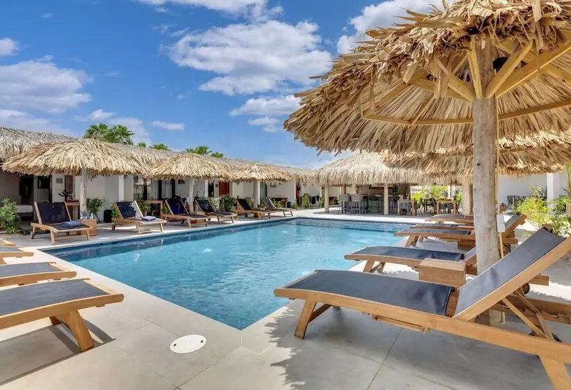 استراحتگاه Belnem House Bonaire