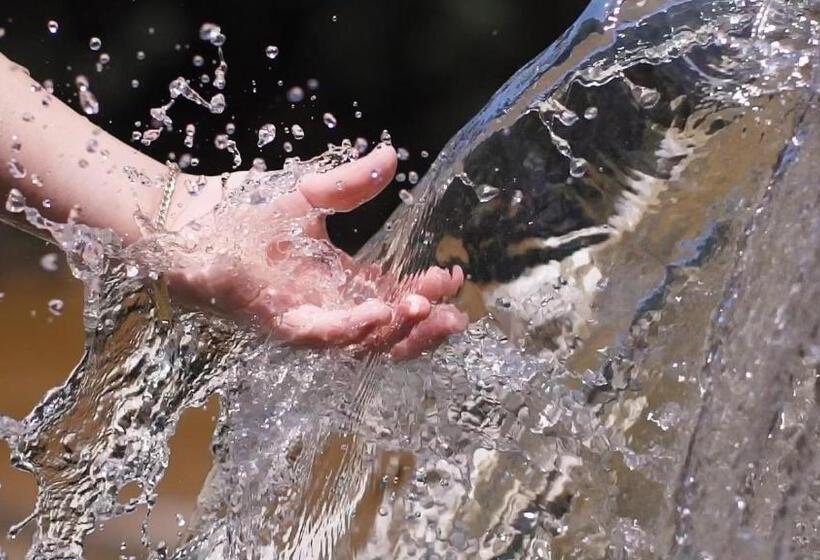 渡假胜地  Parque Hotel Pimonte