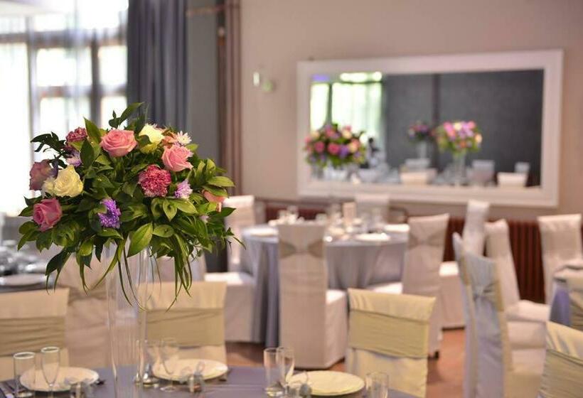 تختخواب و صبحانه Timok