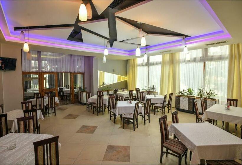 تختخواب و صبحانه Timok