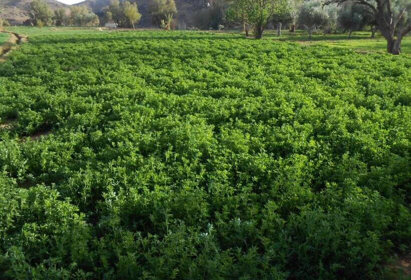 بنسيون Gite D Etape Sidi Flah