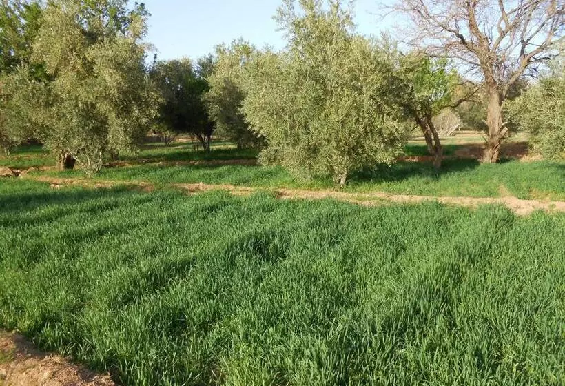 Majatalo Gite D Etape Sidi Flah