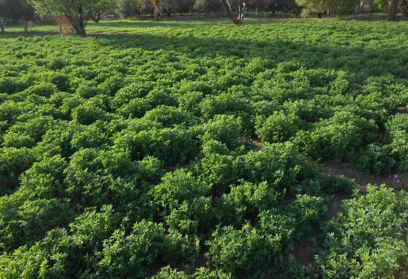 بنسيون Gite D Etape Sidi Flah