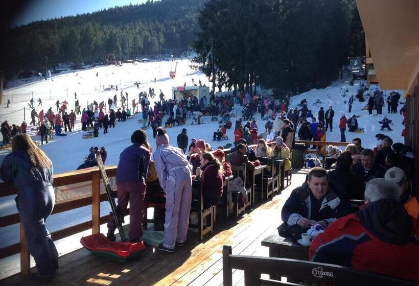 פנסיון La Belle Vie