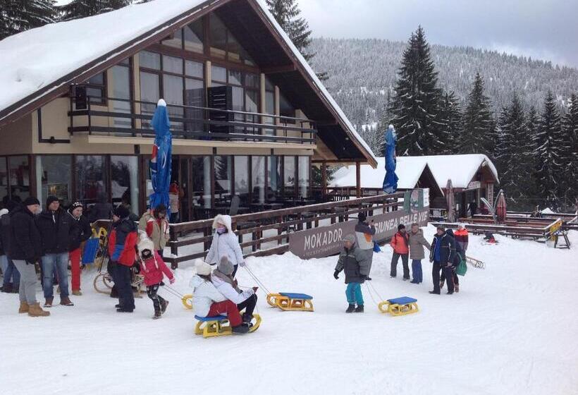 פנסיון La Belle Vie