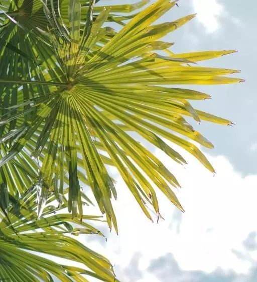 Hotelli Oberwirtshof