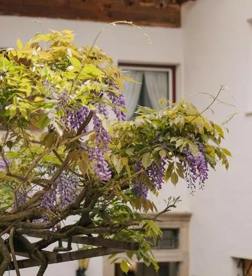 Hotelli Oberwirtshof