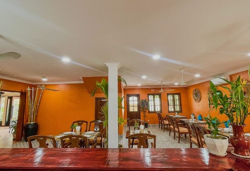 Hotel Villa Indochine D Angkor