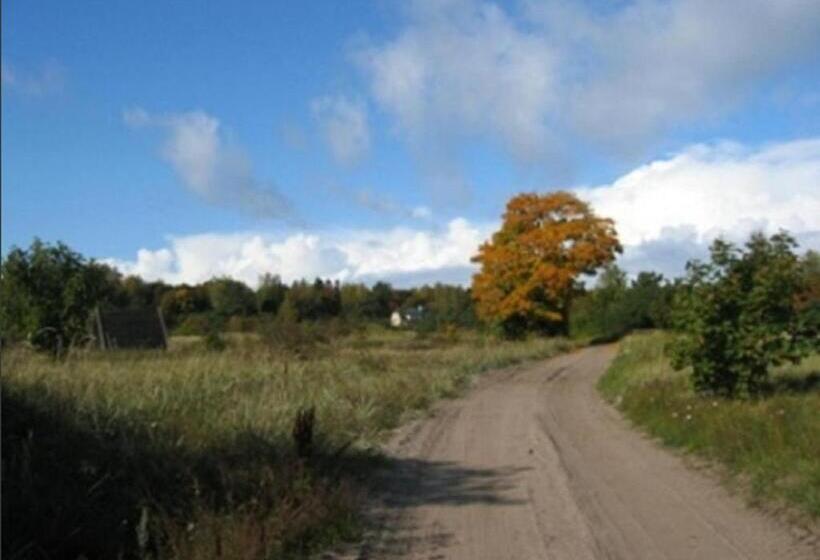 ペンション Naissaare Guesthouse Külalistemaja