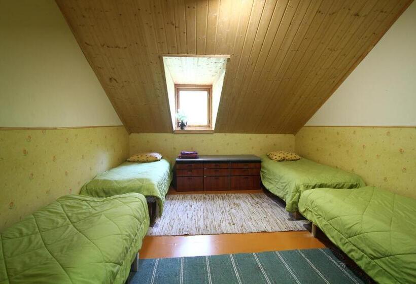 ペンション Naissaare Guesthouse Külalistemaja