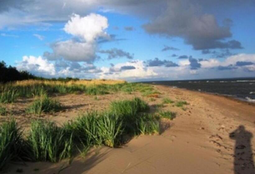 ペンション Naissaare Guesthouse Külalistemaja