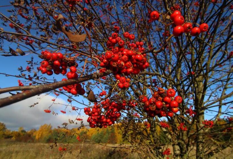 ペンション Naissaare Guesthouse Külalistemaja